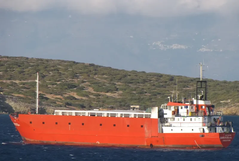 ALRAYAN General Cargo IMO 7367976 photo 2