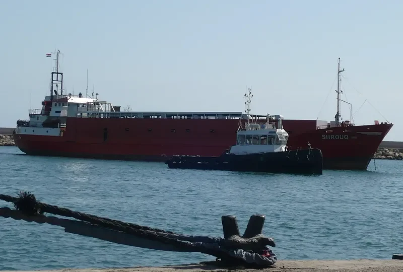 ALRAYAN General Cargo IMO 7367976 photo 5