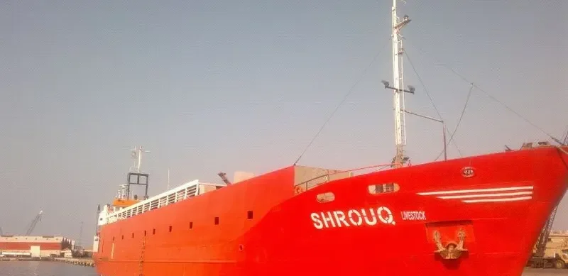 ALRAYAN General Cargo IMO 7367976 photo 9