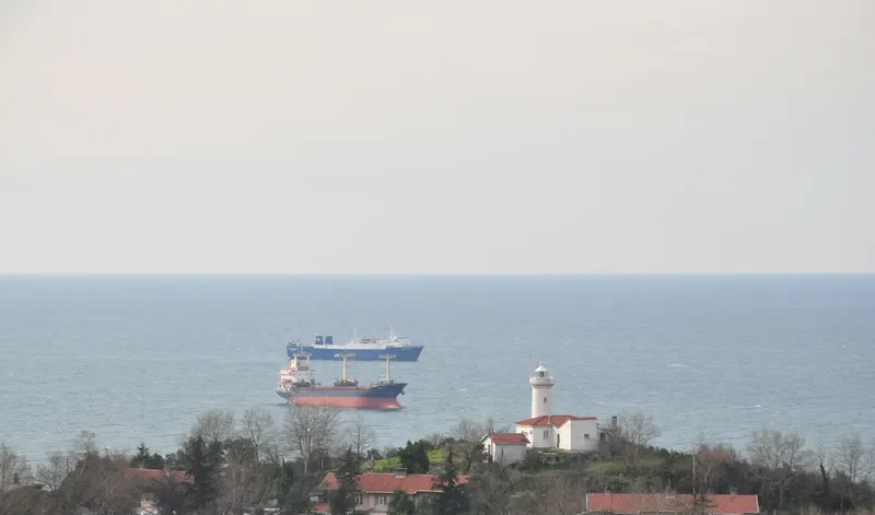 ELA General Cargo IMO 7368061 photo 2