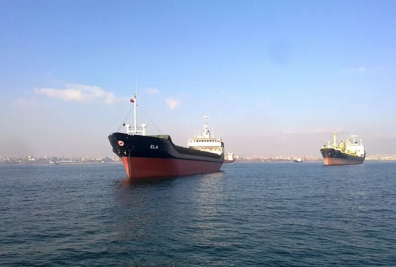 ELA General Cargo IMO 7368061 photo 6
