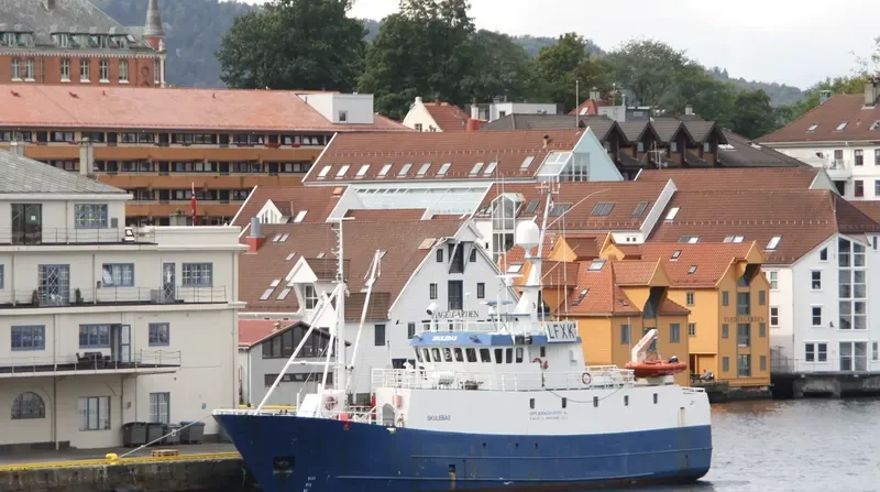 SKULEBAS SENIOR General Cargo IMO 7368695 photo 10