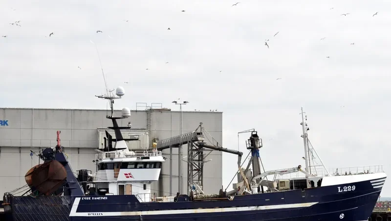 LYKKE HAMETNER General Cargo IMO 7368982 photo 5
