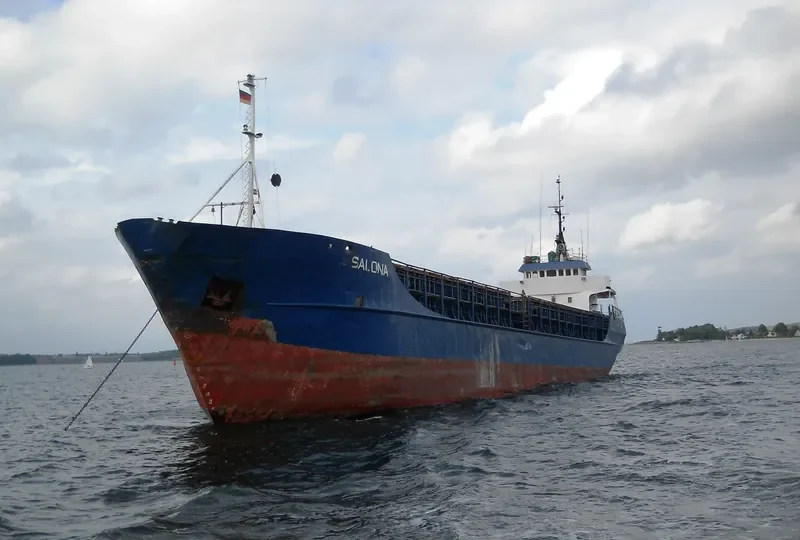 SALONA General Cargo Vessel IMO 7368994 photo 10