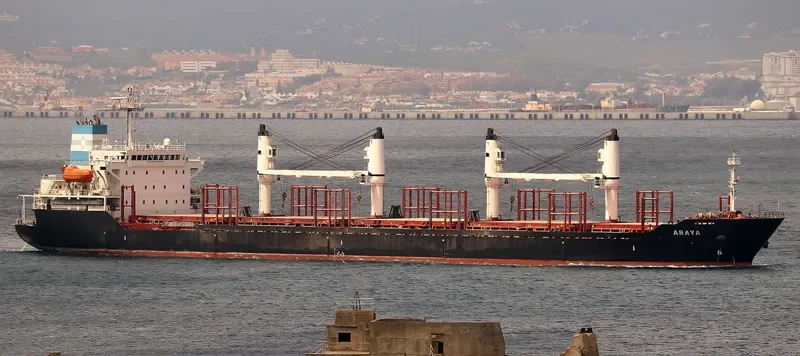 ARAYA Bulk Carrier IMO 7369900