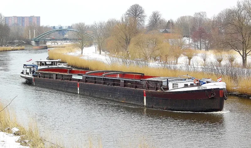 REGINA Bulk Carrier IMO 7370959 photo 6