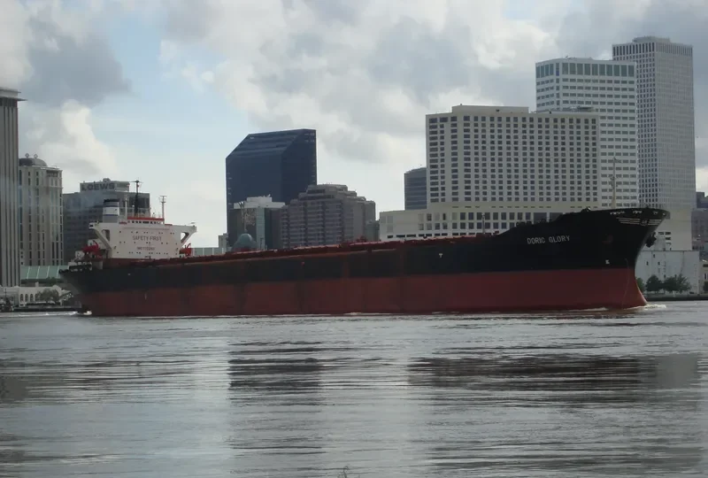 DORIC GLORY Bulk Carrier IMO 7372165 photo 4