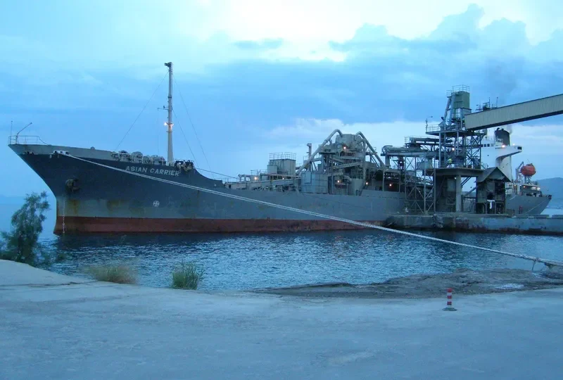 ASIAN CARRIER General Cargo IMO 7373731
