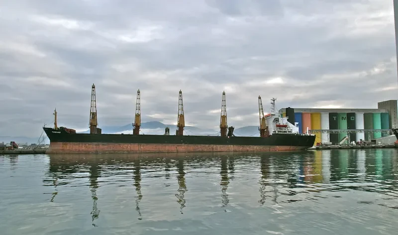 ORIENT III General Cargo IMO 7374632
