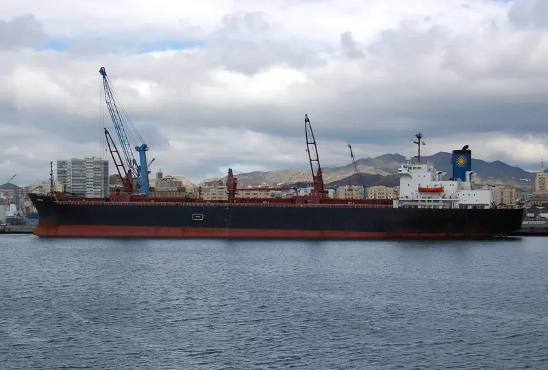 VERGINA Bulk Carrier IMO 7375260