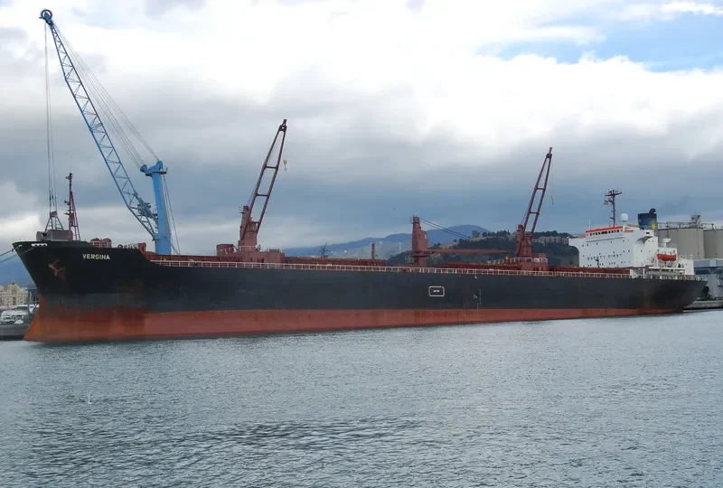 VERGINA Bulk Carrier IMO 7375260 photo 2