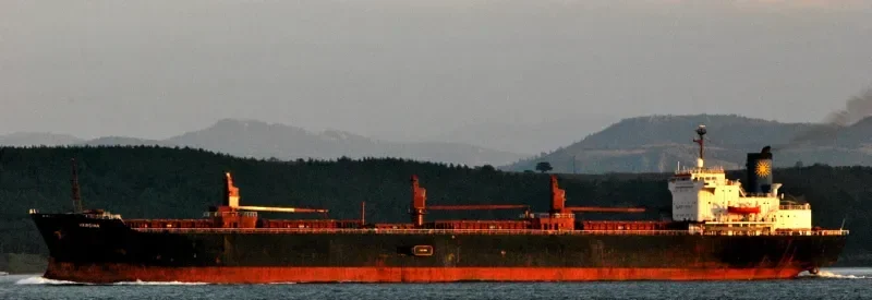 VERGINA Bulk Carrier IMO 7375260 photo 7