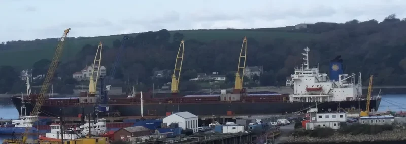 PHILIPPOS Bulk Carrier IMO 7375272