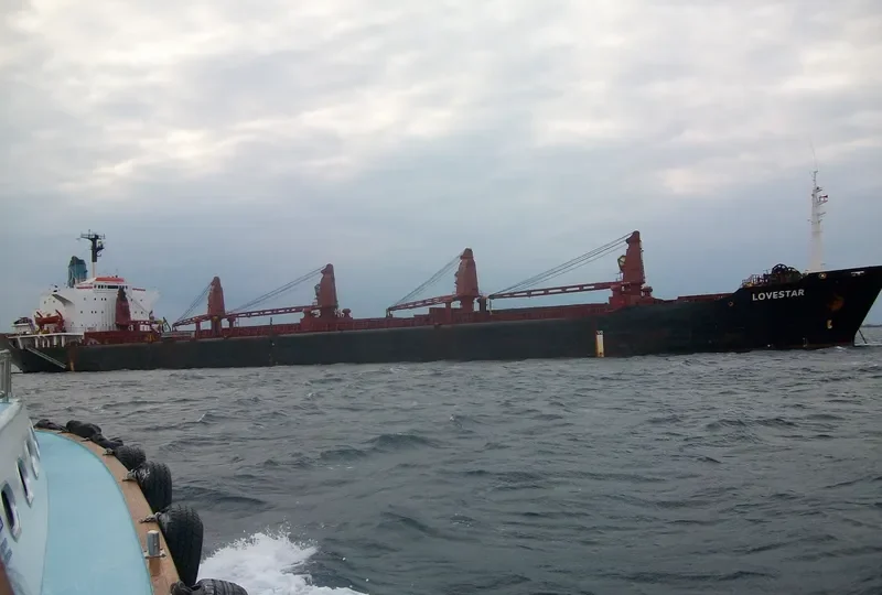 LOVESTAR Bulk Carrier IMO 7375600