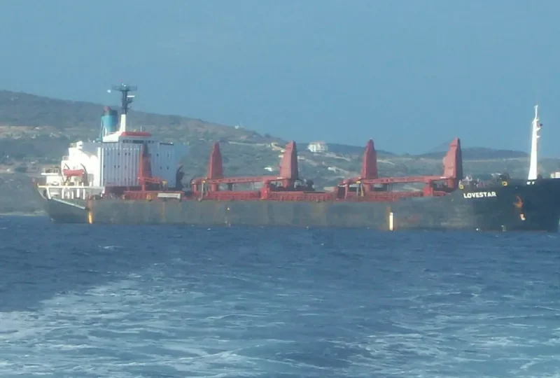 LOVESTAR Bulk Carrier IMO 7375600 photo 2