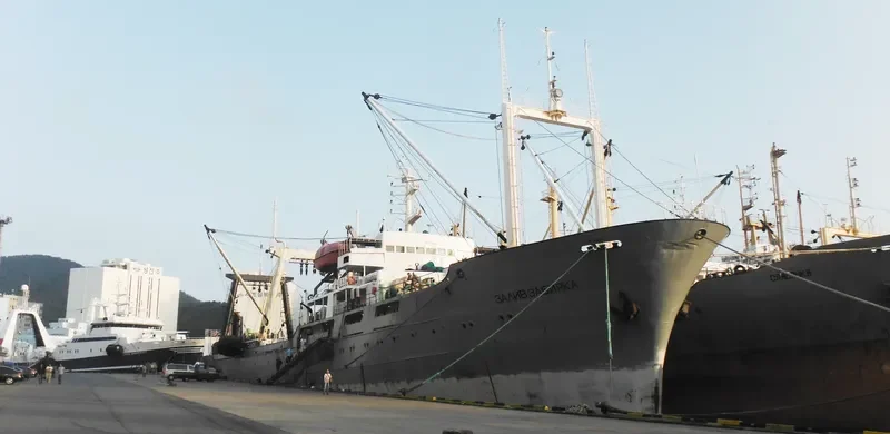 ZALIV ZABIYAKA General Cargo IMO 7376410
