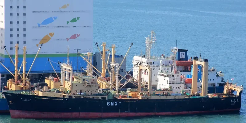 NAMBUKHO General Cargo IMO 7377452 photo 6