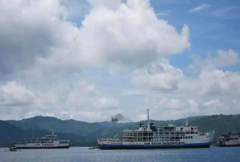 PERDANA NUSANTARA Ro-Ro IMO 7378066 photo 3