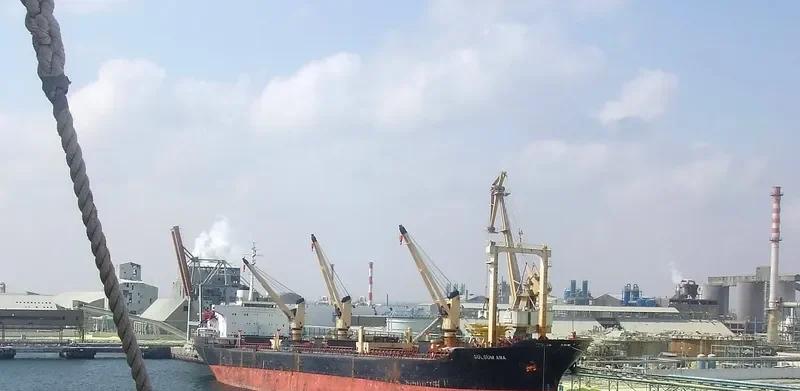 ALI MURTAZA Bulk Carrier IMO 7379266