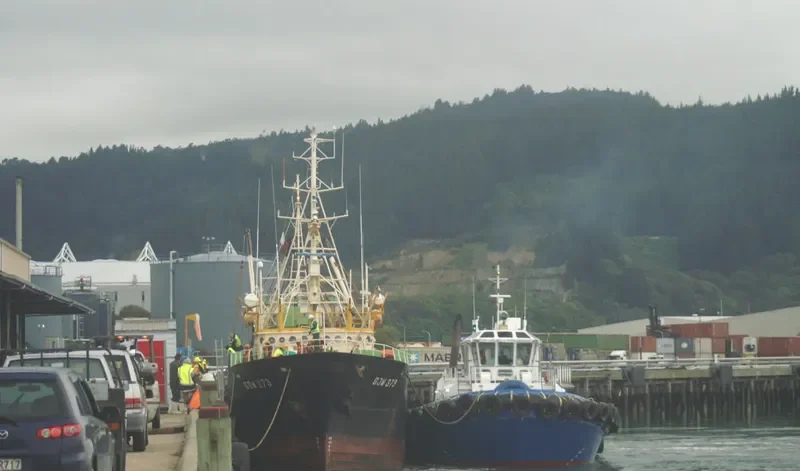 BUTIYALO THREE General Cargo IMO 7380277 photo 5