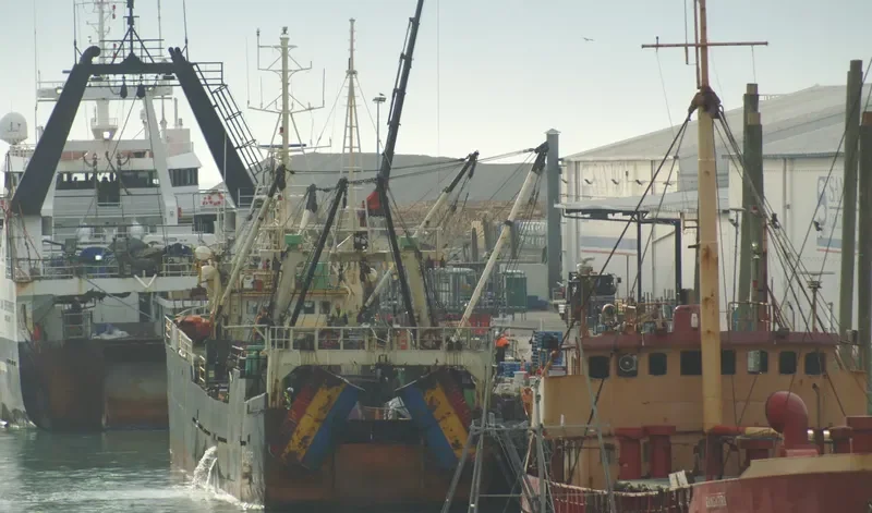 BUTIYALO THREE General Cargo IMO 7380277 photo 7