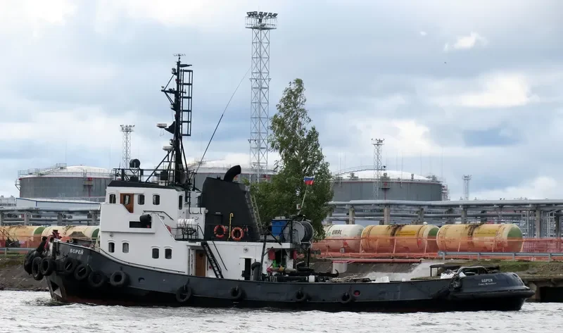 BOREY General Cargo IMO 7382342 photo 4
