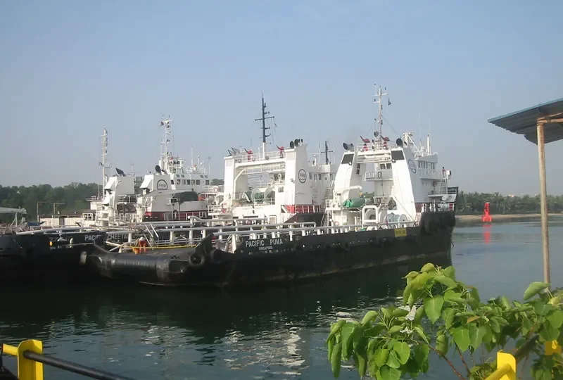 PACIFIC PUMA General Cargo IMO 7382471
