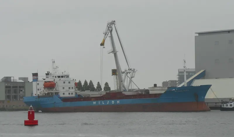 BROTHERS RS Bulk Carrier IMO 7382495 photo 8