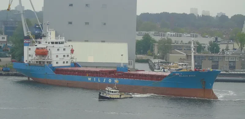 BROTHERS RS Bulk Carrier IMO 7382495 photo 9