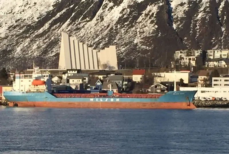 BROTHERS RS Bulk Carrier IMO 7382495 photo 19
