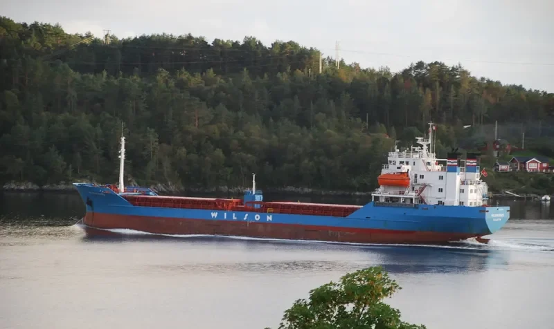 BROTHERS RS Bulk Carrier IMO 7382495 photo 21