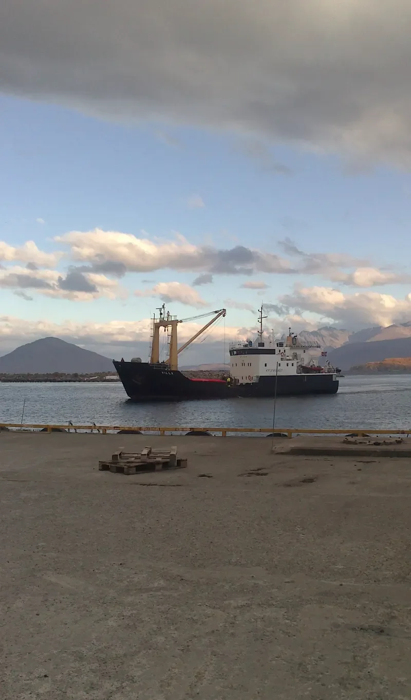 VILLA General Cargo IMO 7382641 photo 10