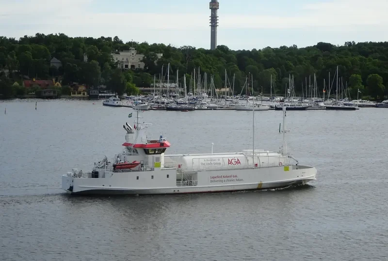 SEAGAS General Cargo IMO 7382691 photo 3