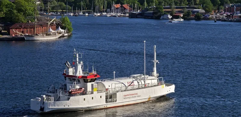 SEAGAS General Cargo IMO 7382691 photo 6