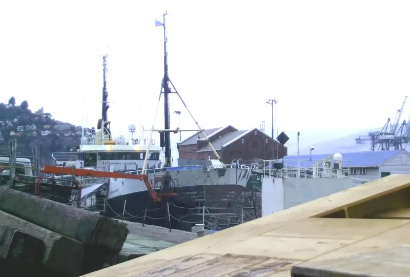 AUSTRAL LEADER II General Cargo IMO 7382770 photo 3
