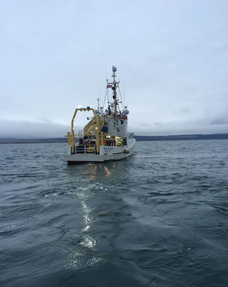 EGS PIONEER General Cargo IMO 7382926 photo 3
