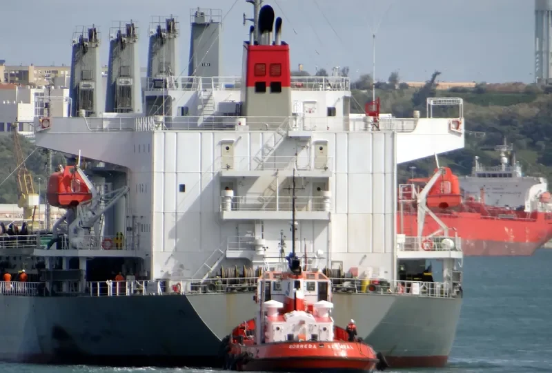 SOBREDA Tug Boat IMO 7385057 photo 2