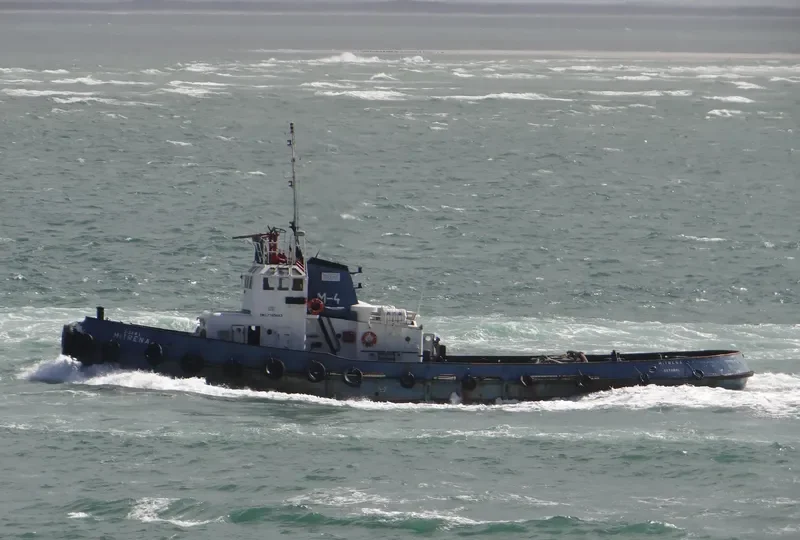 MITRENA Tug Boat IMO 7385083 photo 2