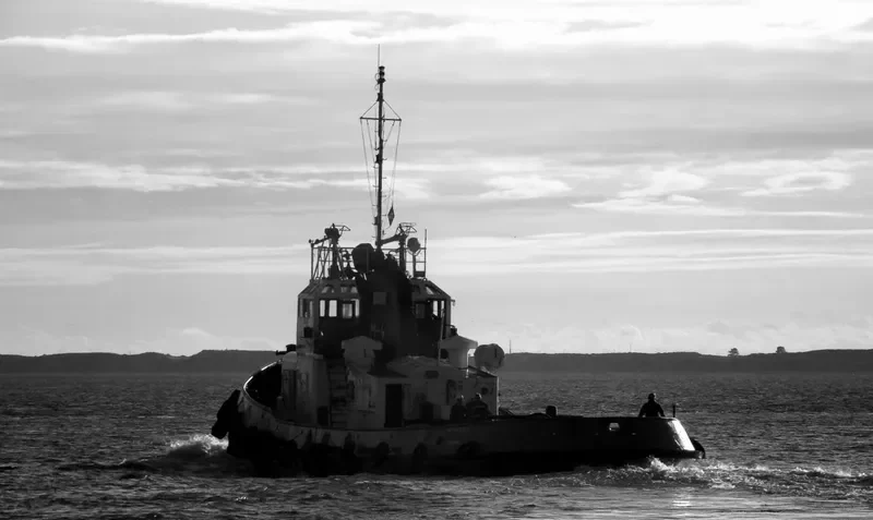 MITRENA Tug Boat IMO 7385083 photo 4