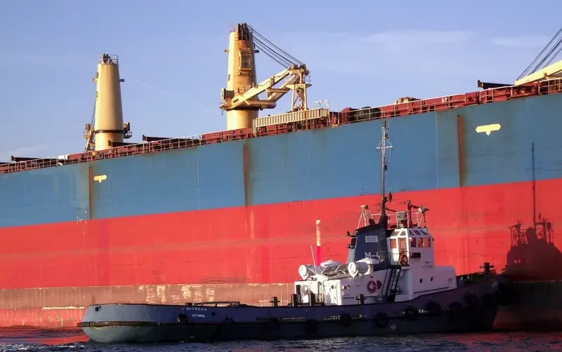 MITRENA Tug Boat IMO 7385083 photo 5