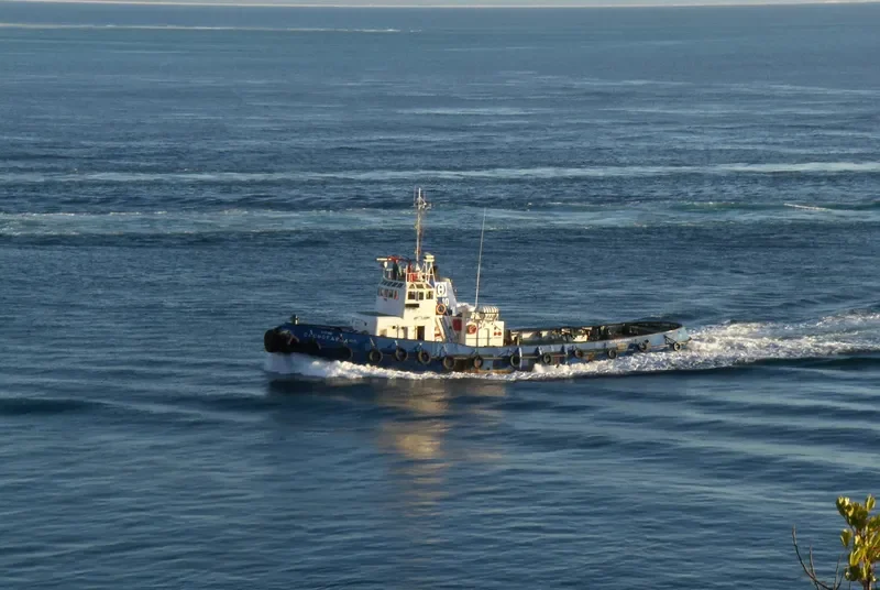 CACHOFARRA Tug Boat IMO 7385095 photo 4