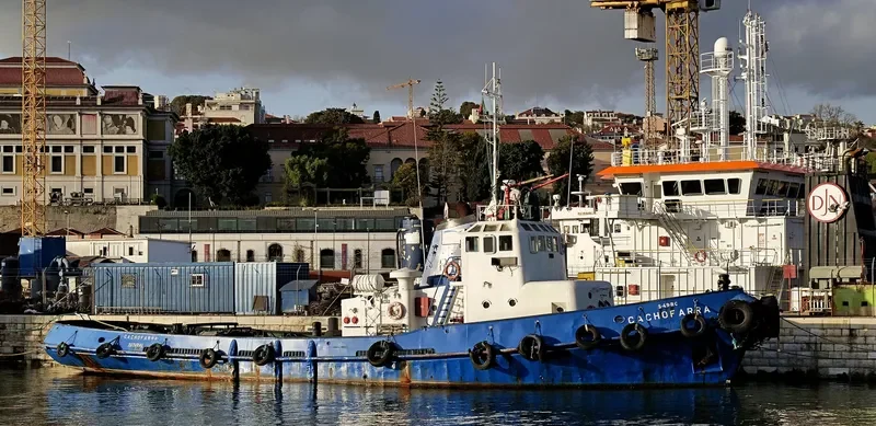 CACHOFARRA Tug Boat IMO 7385095 photo 5