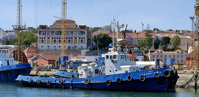 CACHOFARRA Tug Boat IMO 7385095 photo 6
