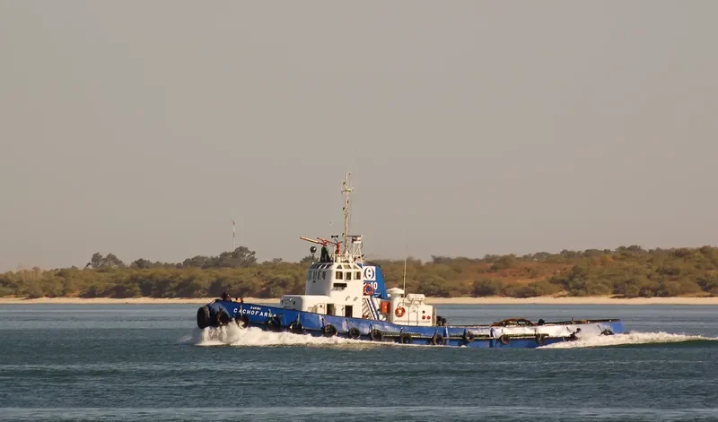 CACHOFARRA Tug Boat IMO 7385095 photo 7