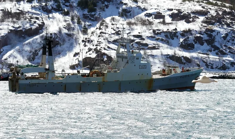 CALVAO General Cargo IMO 7385198 photo 8