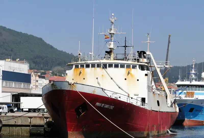 PRAIA DE SANTA CRUZ General Cargo IMO 7385203 photo 8