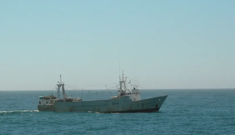 TASARTE General Cargo IMO 7385356 photo 2