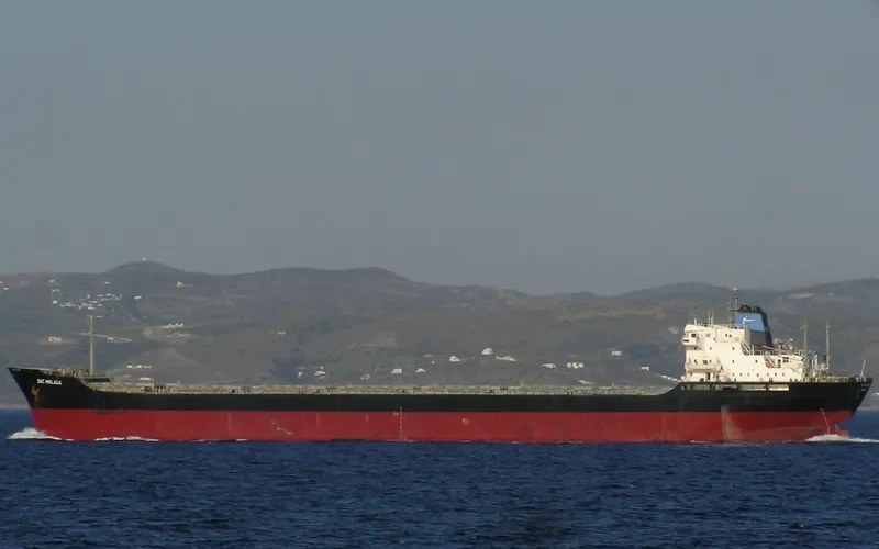 MALAGA Bulk Carrier IMO 7387093 photo 8