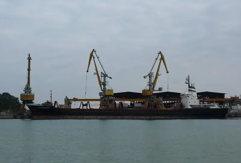 TEGUCIGALPA Bulk Carrier IMO 7387237
