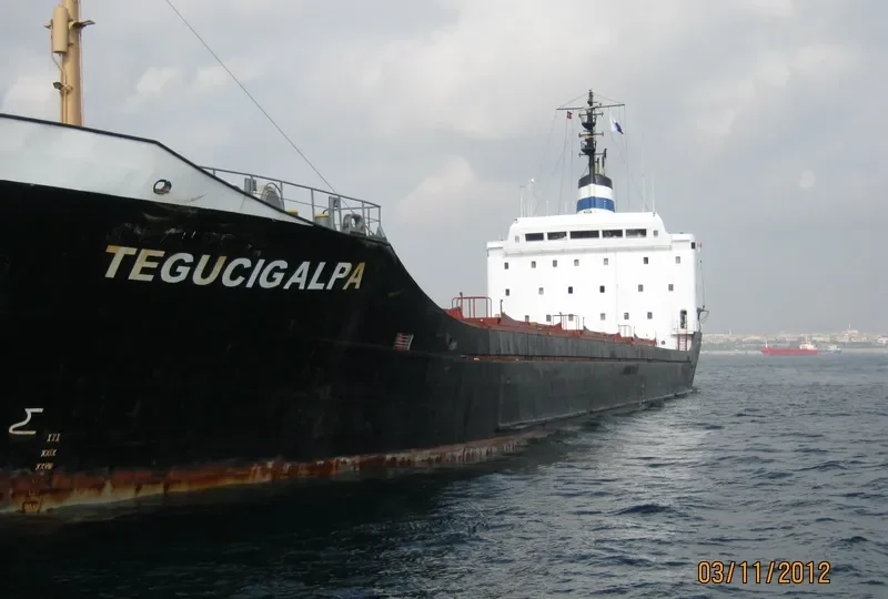 TEGUCIGALPA Bulk Carrier IMO 7387237 photo 2